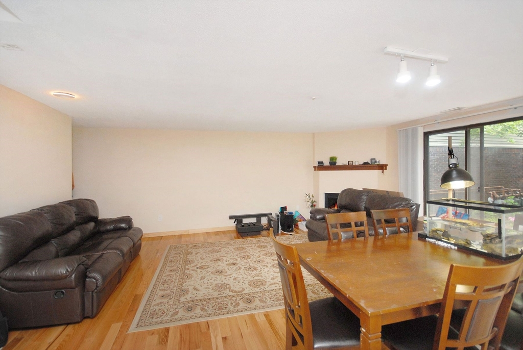 238 Brown Bear Crossing 238