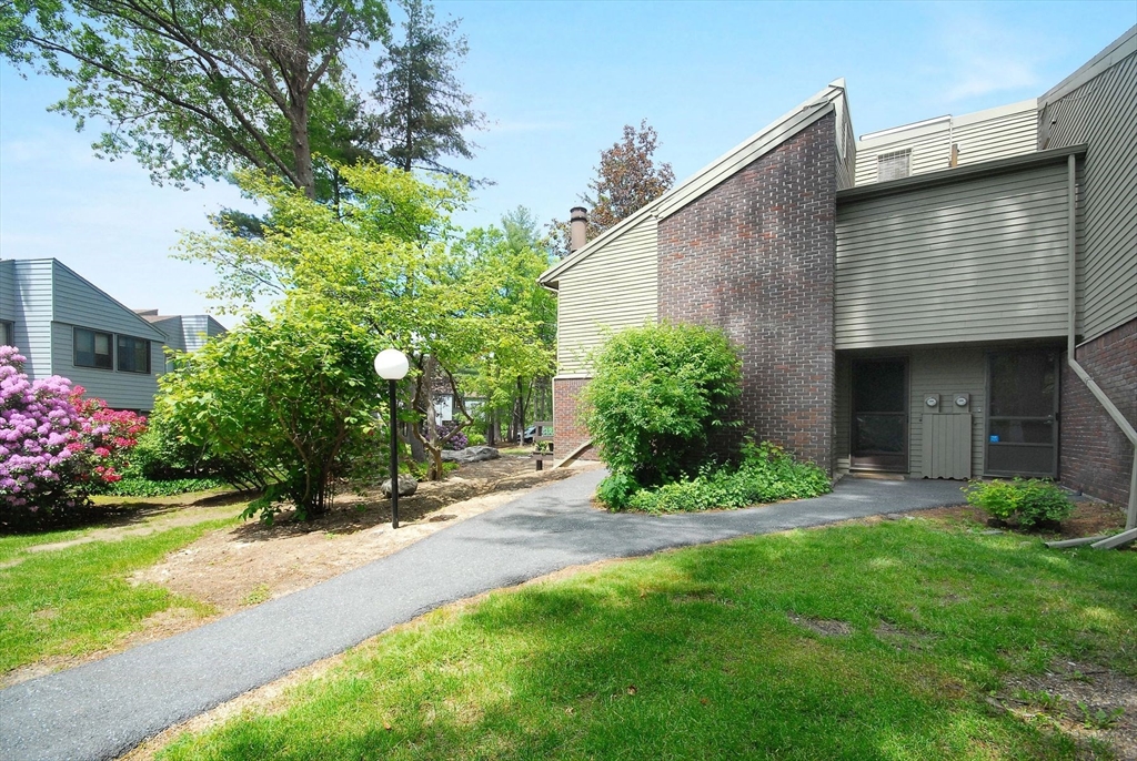 238 Brown Bear Crossing 238