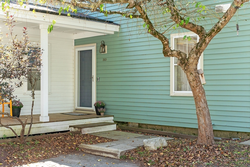 36 Indian Camp Lane D