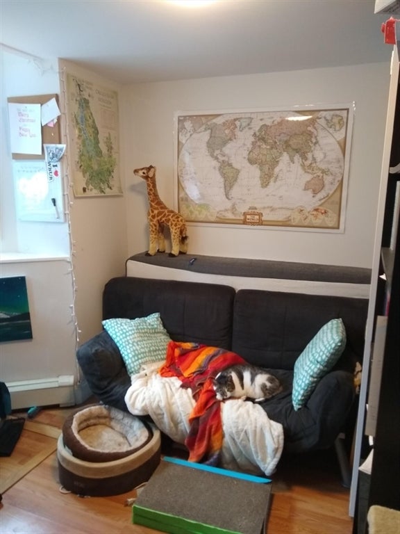 192 Central St #B, Somerville, MA Photo #13