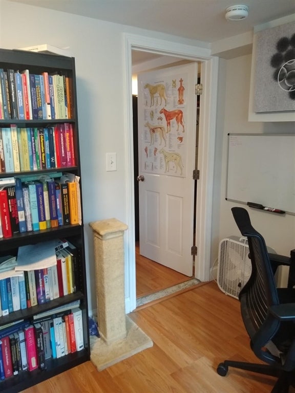 192 Central St #B, Somerville, MA Photo #14