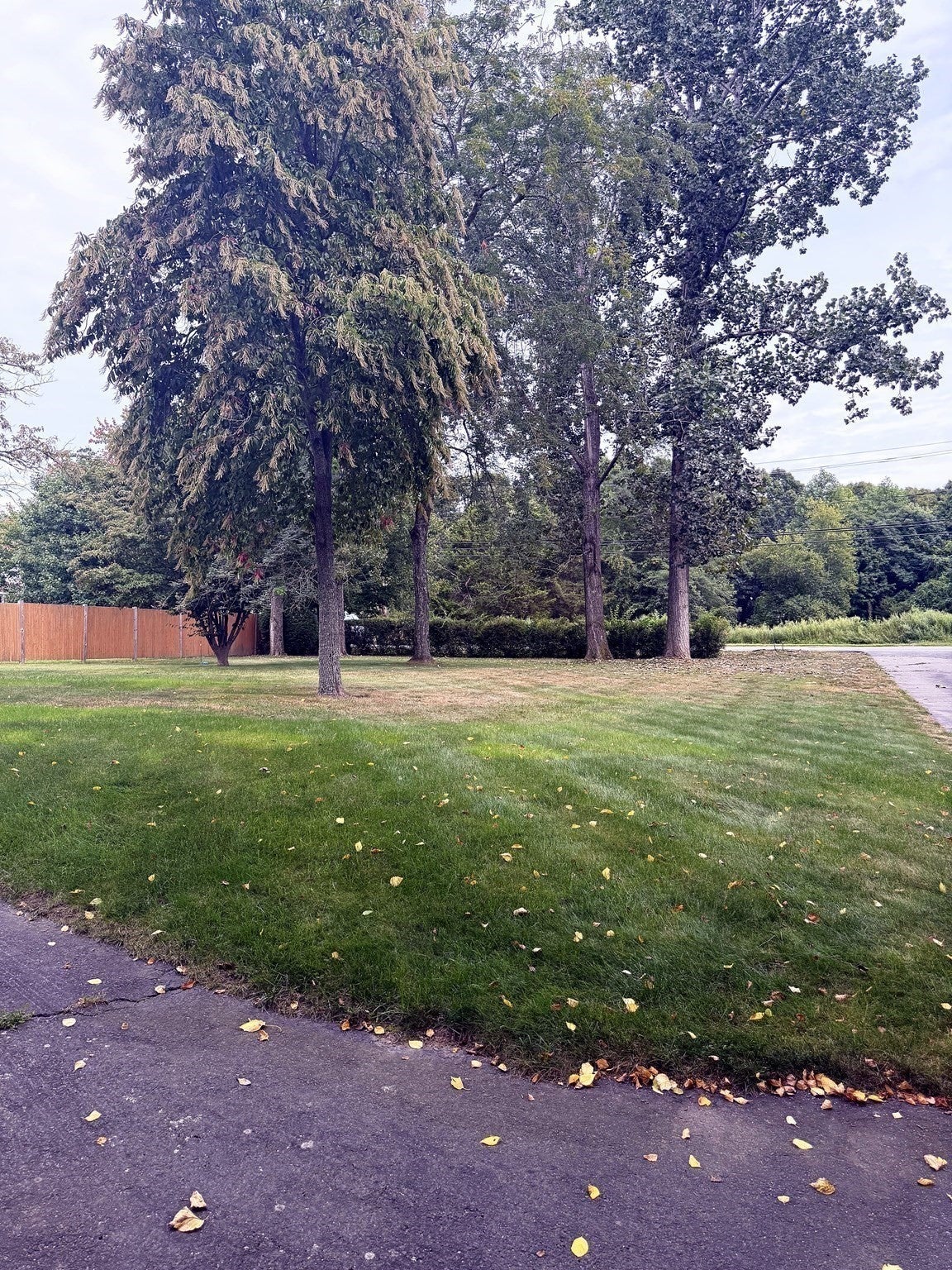 394 Bedford St, Lakeville, MA, 394 Bedford St, Lakeville, MA Photo #21