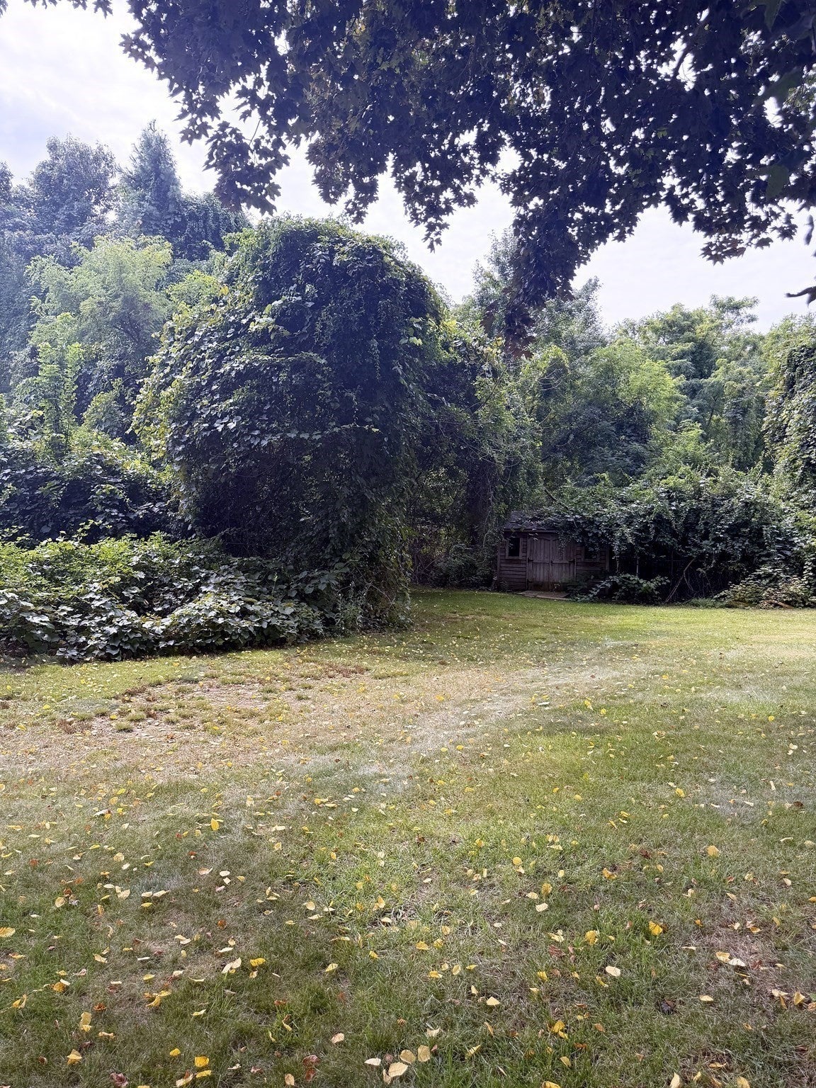 394 Bedford St, Lakeville, MA, 394 Bedford St, Lakeville, MA Photo #22