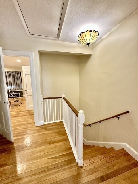 12 Still St #15, Brookline, MA Photo #14
