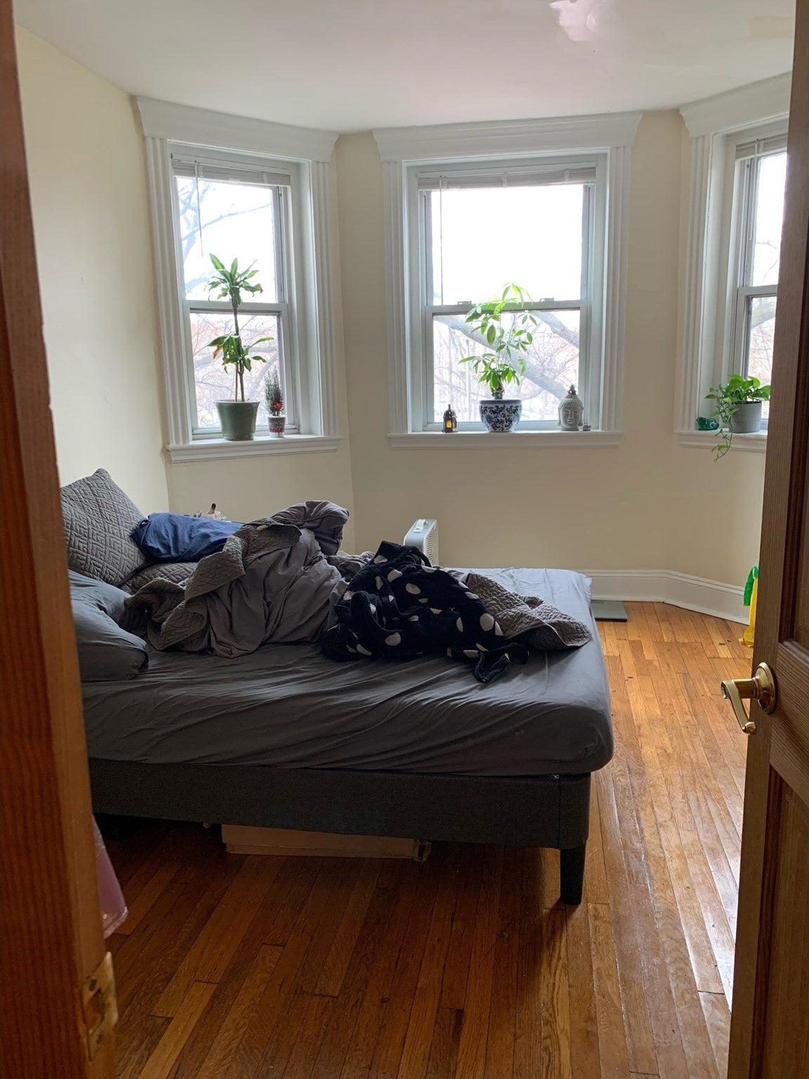 352 Riverway #4, Boston, MA, 352 Riverway #4, Boston, MA Photo #4
