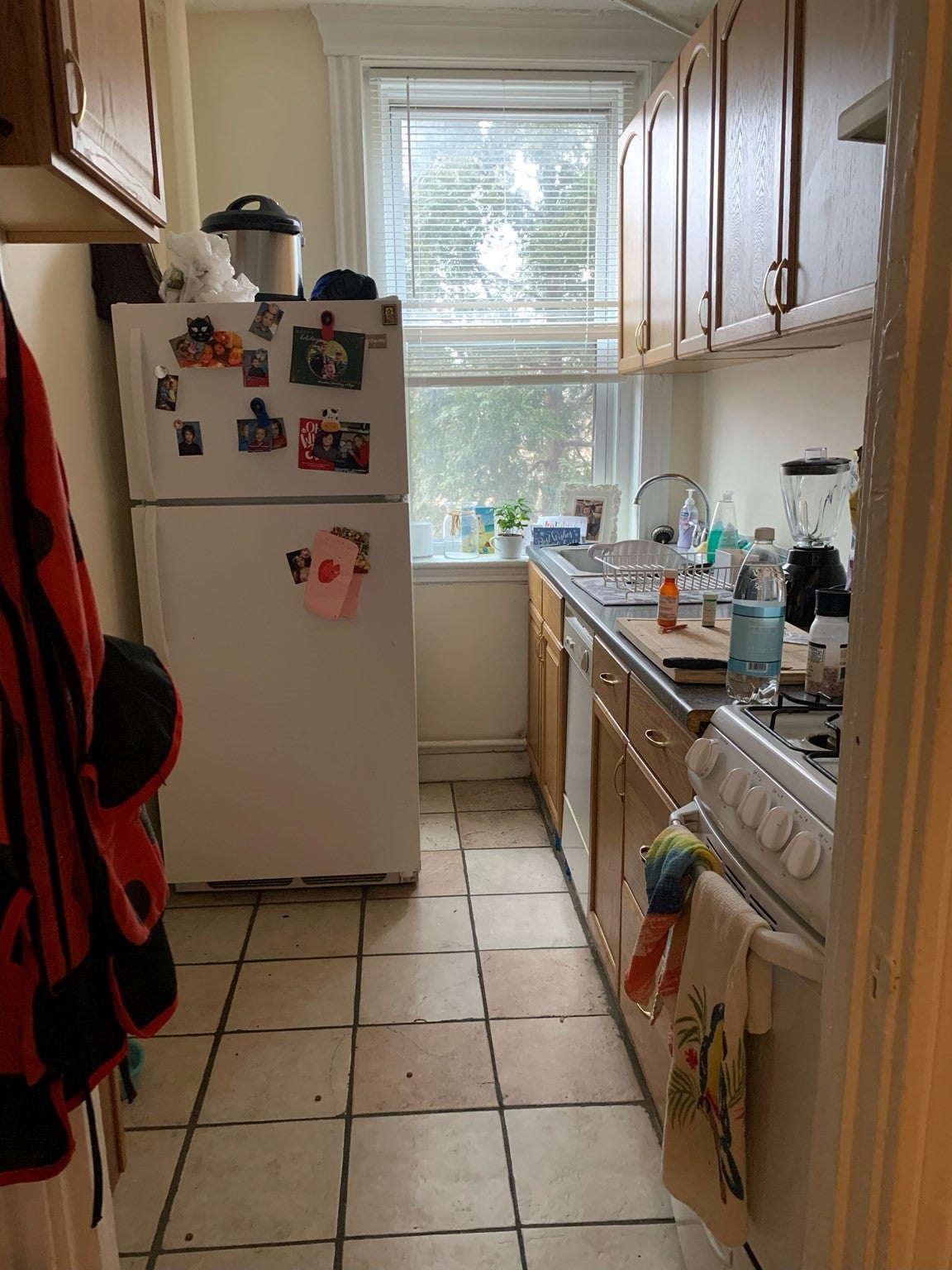 352 Riverway #4, Boston, MA, 352 Riverway #4, Boston, MA Photo #5