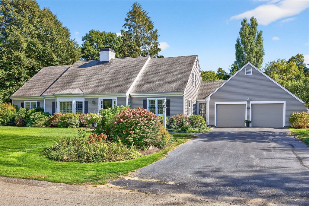 33 Midpine