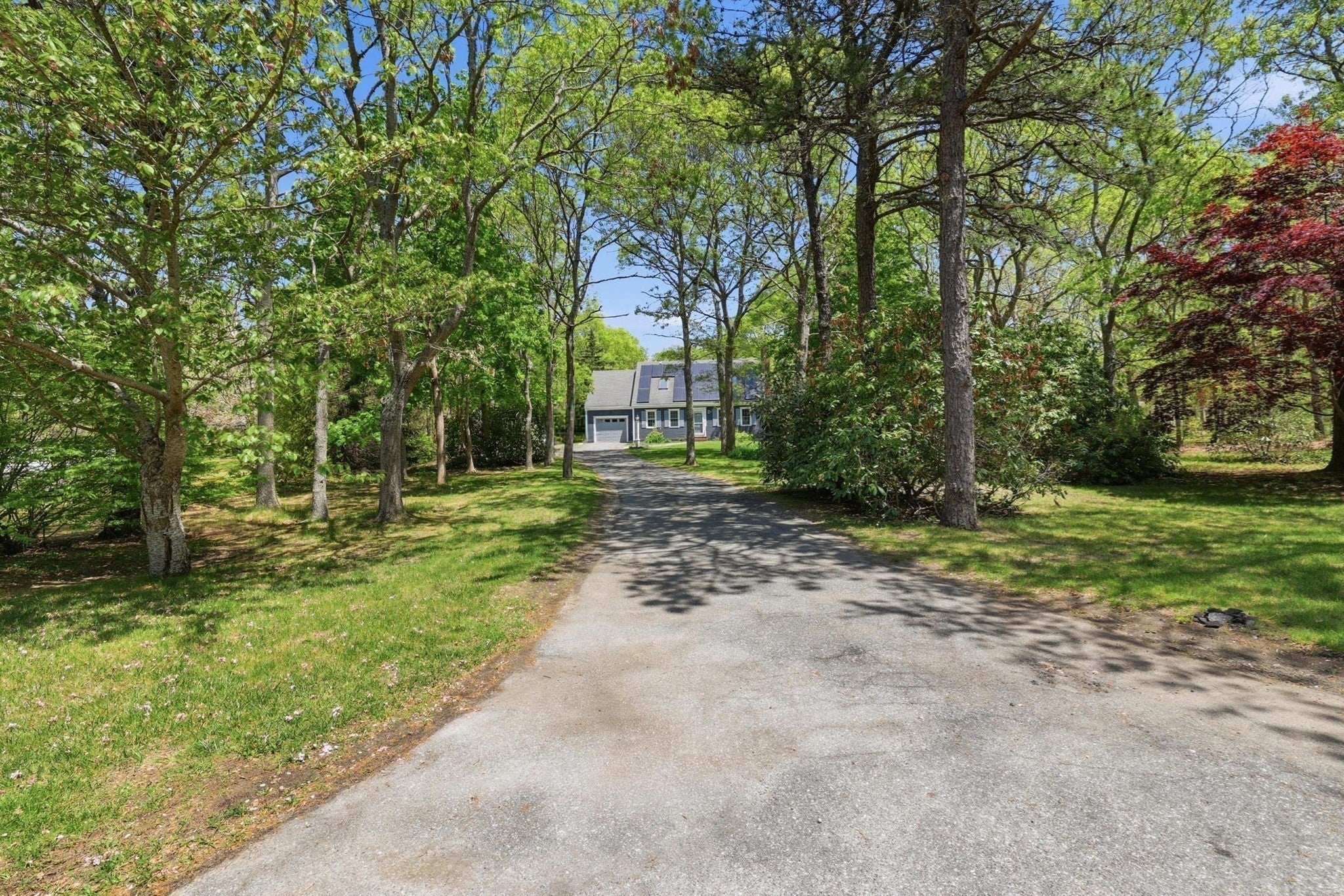 83 Greenville Dr