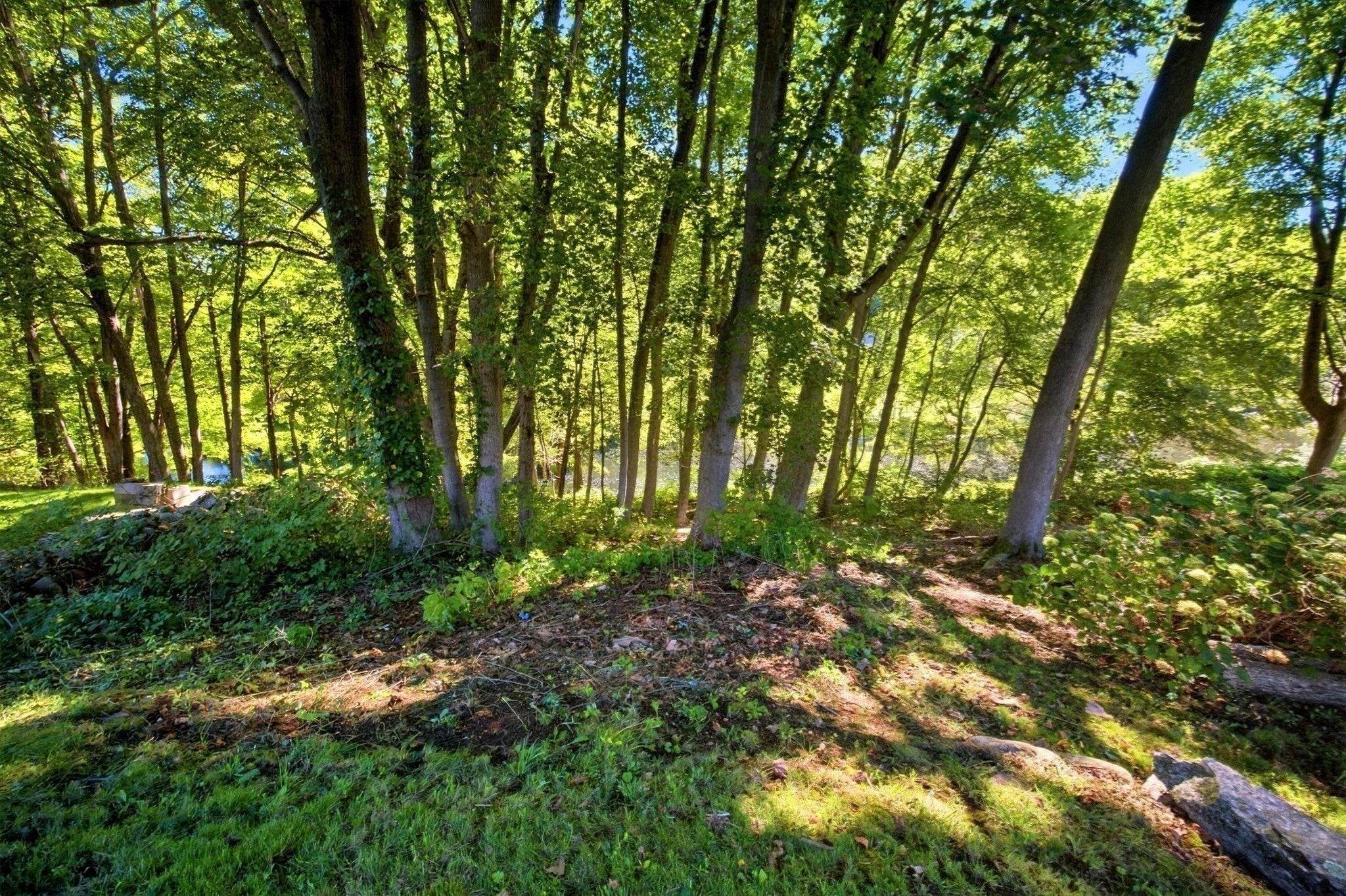 114 Quaboag St, Warren, MA, 114 Quaboag St, Warren, MA Photo #32