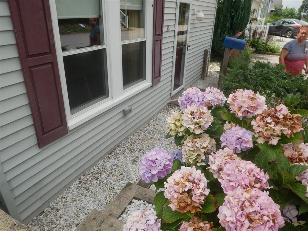 16 Hillside Rd, Hull, MA, 16 Hillside Rd, Hull, MA Photo #38