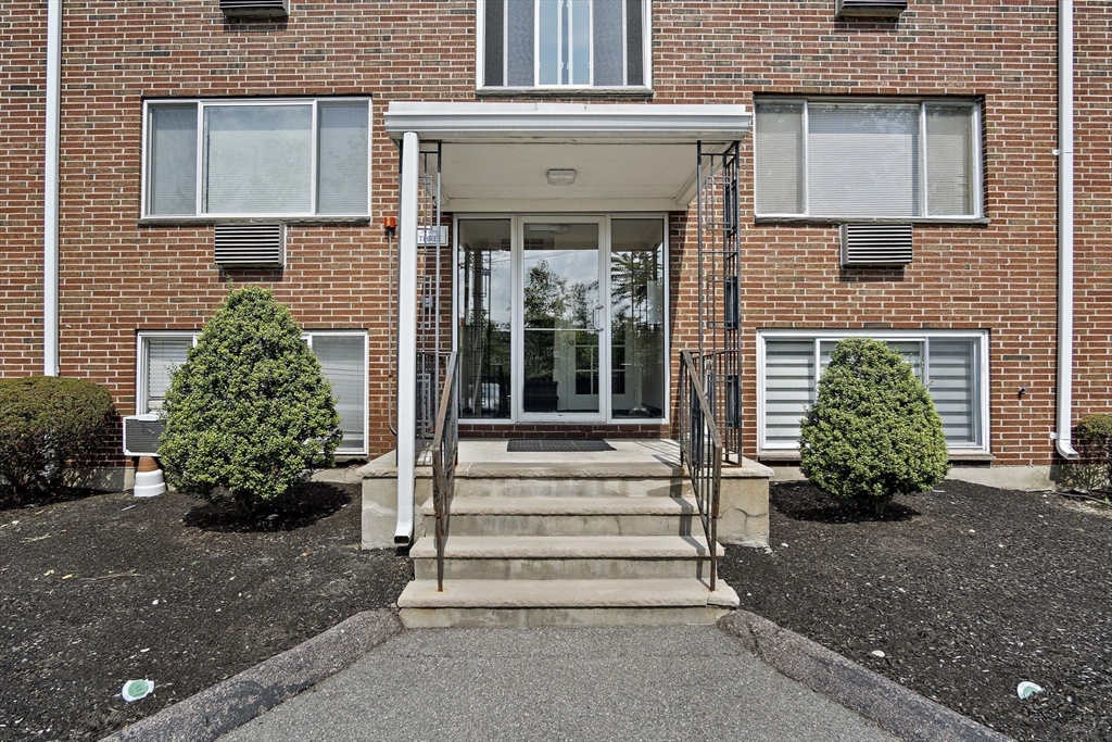 3 Albert Dr 3