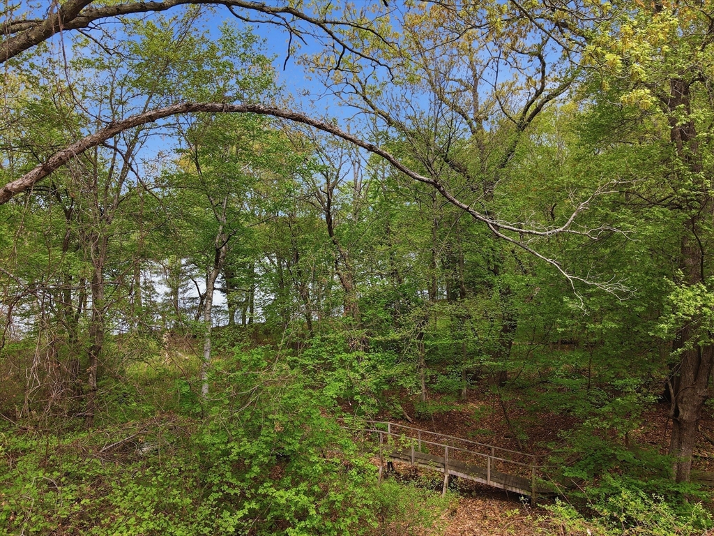 22 Kruger Rd, Hopkinton, MA Photo #7