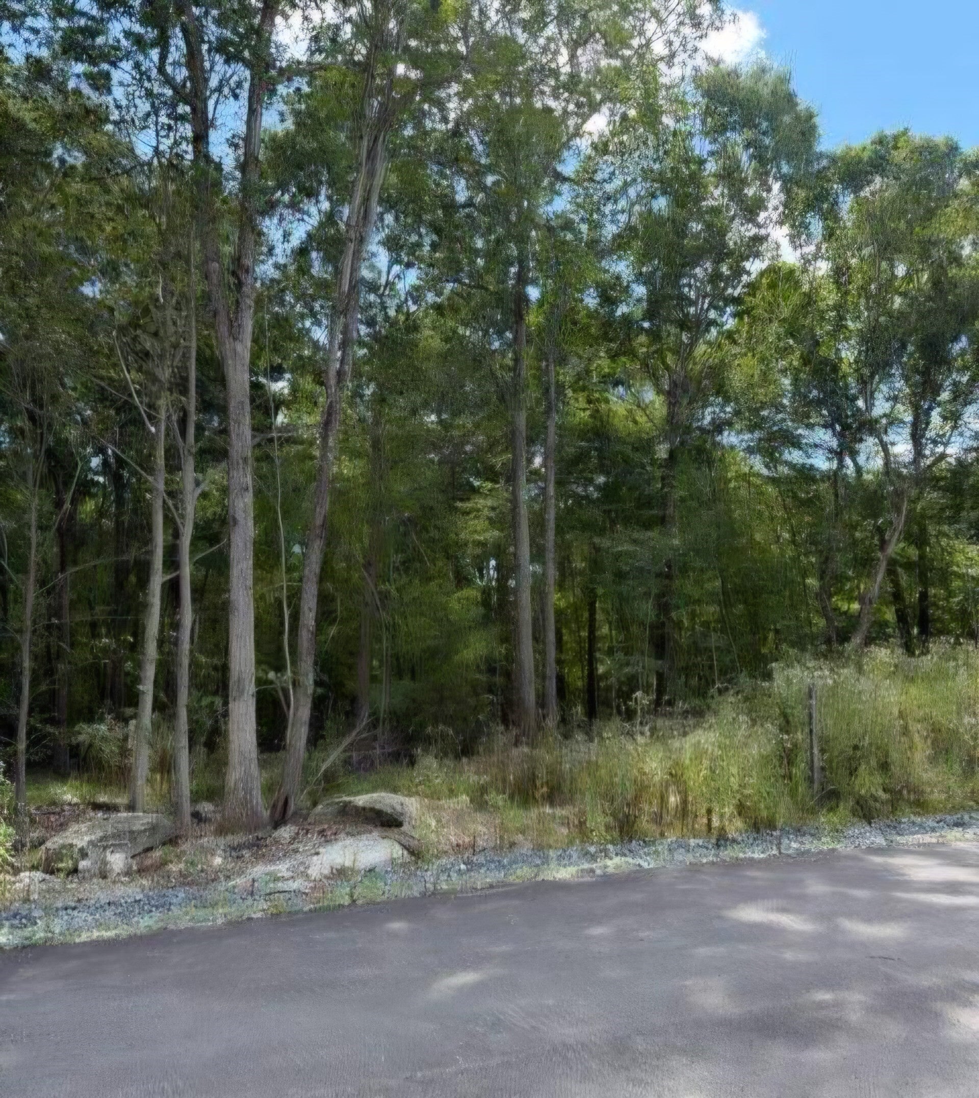 0 Rocky Woods