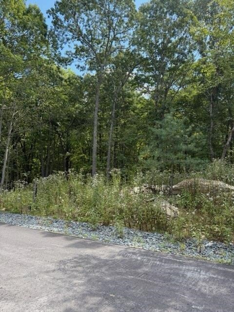 0 Rocky Woods