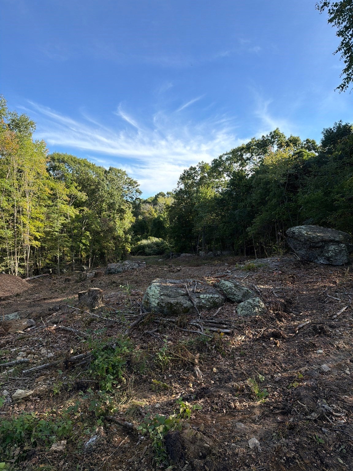 0 Rocky Woods
