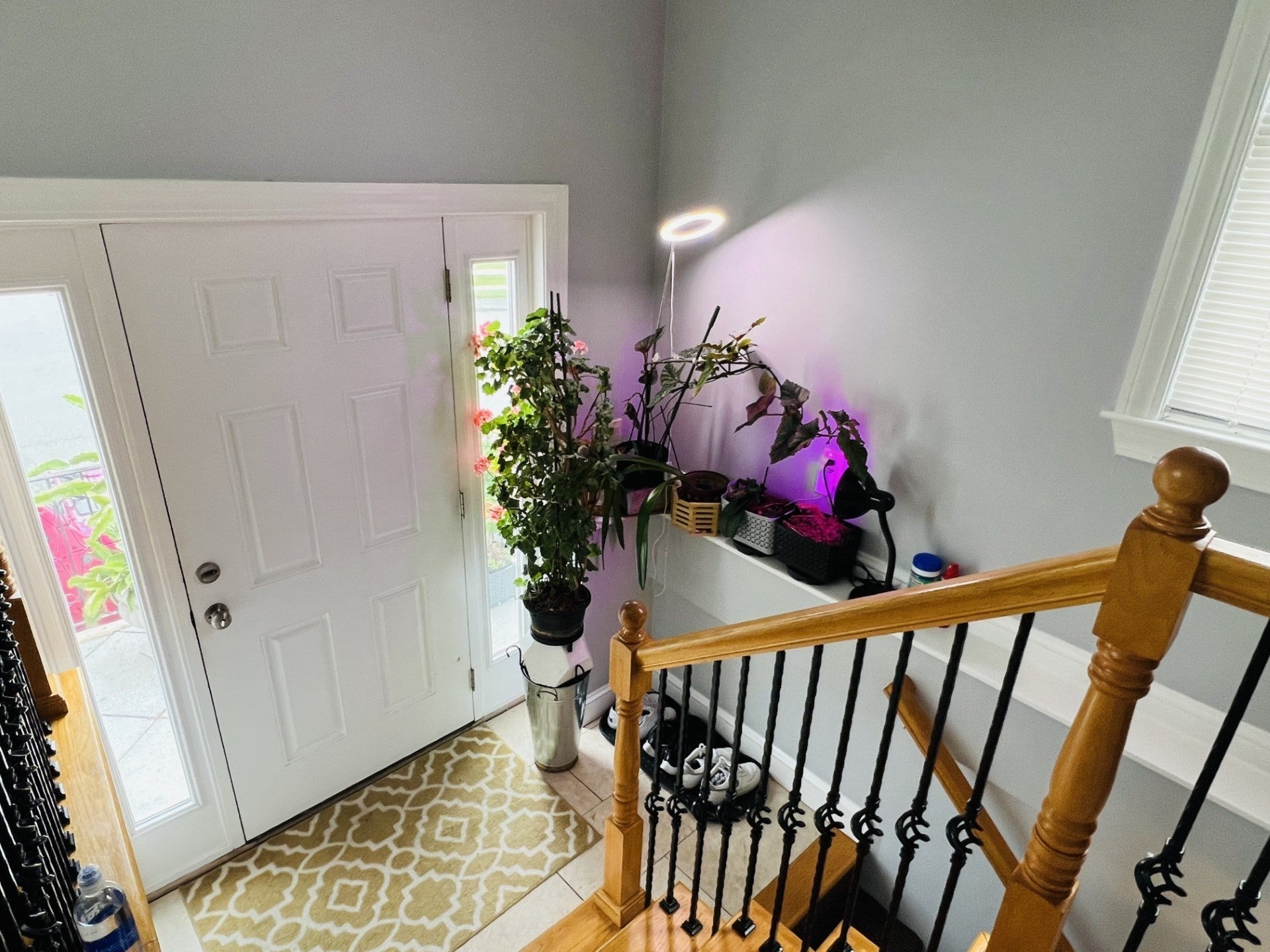 Photo of 10 Milano AVE, Revere, MA