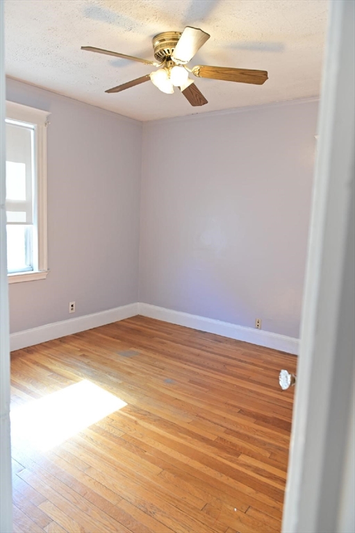 90 Elmer Rd #2, Boston, MA Photo #7