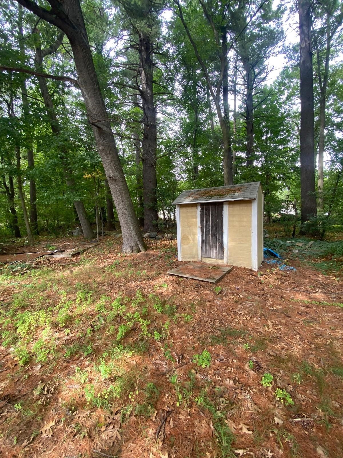 266 Lowell St, Wilmington, MA, 266 Lowell St, Wilmington, MA Photo #20