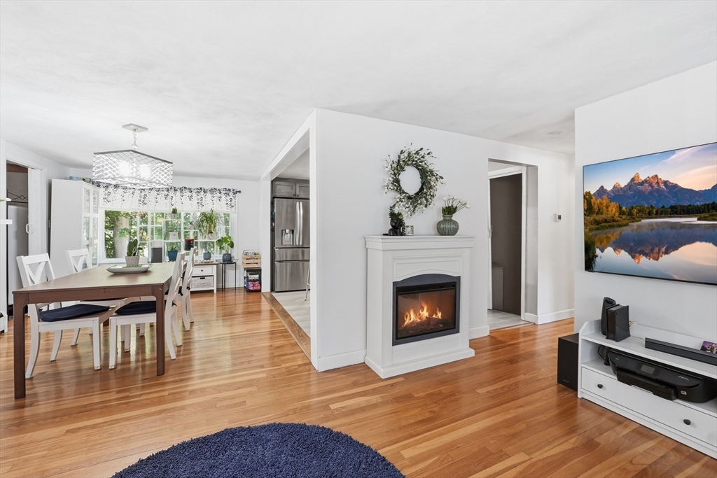 3 Magna Vista