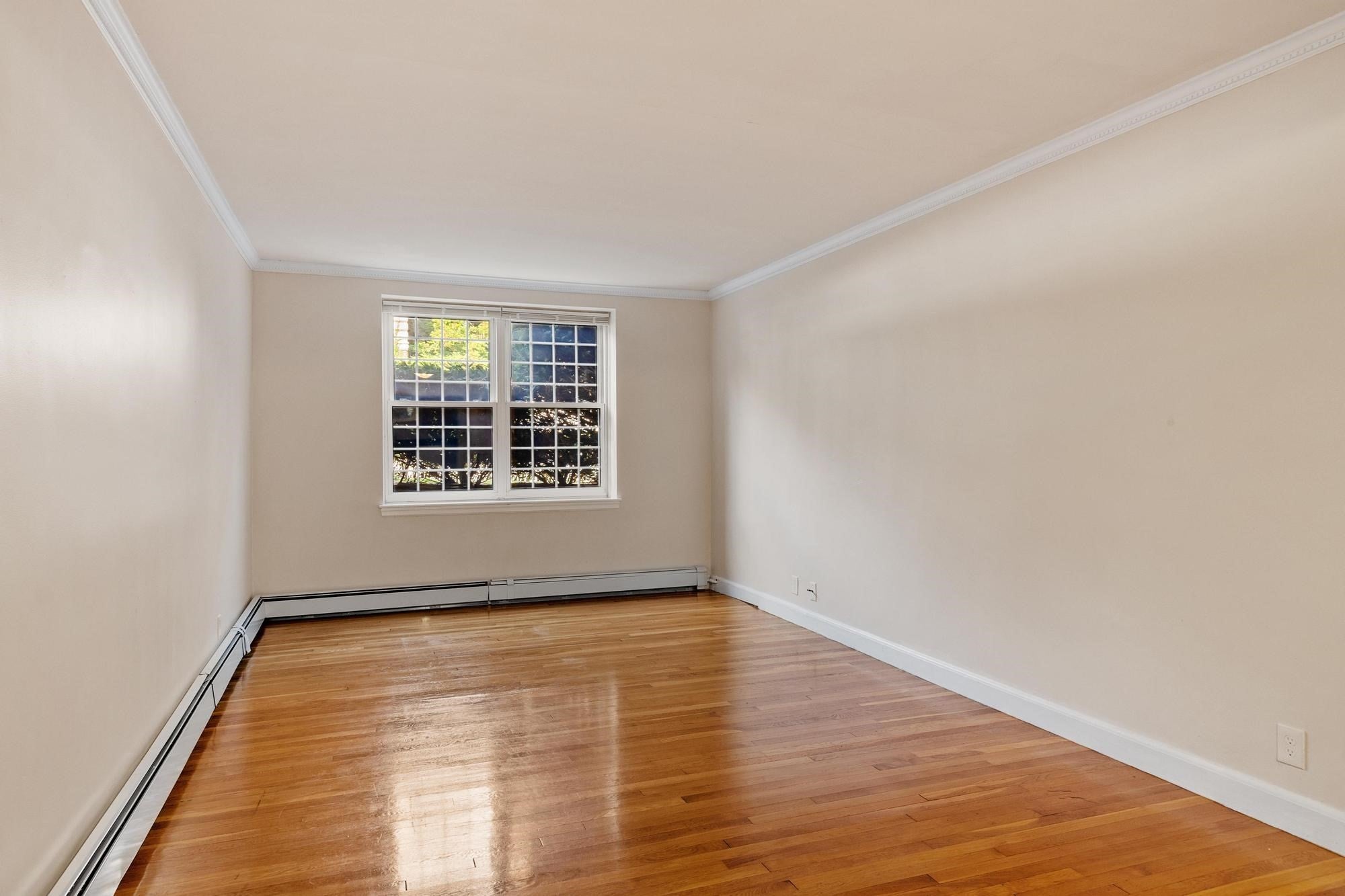 159 St Paul Street #1, Brookline, MA, 159 St Paul Street #1, Brookline, MA Photo #16