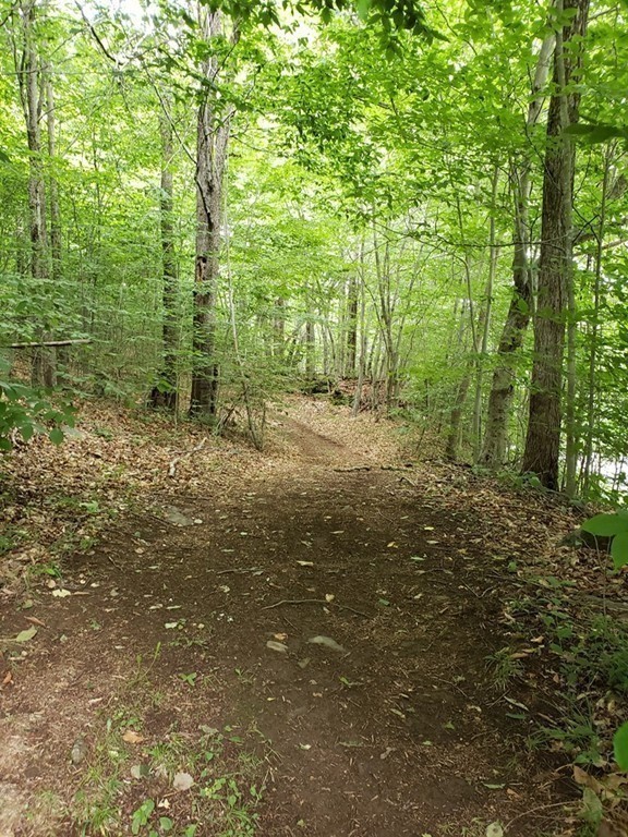 Chester, Massachusetts 01050, United States, ,Land,Active,75079