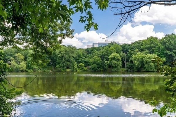 44 Washington St #1103, Brookline, MA Photo #25