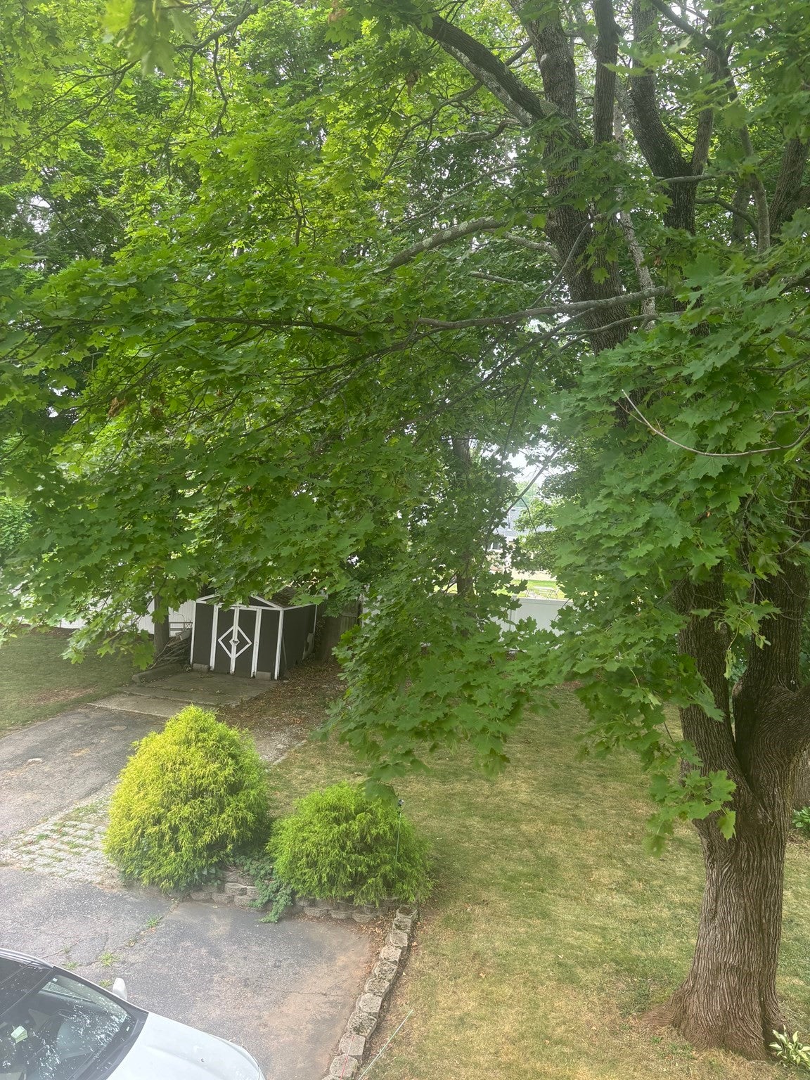 353 Hancock St #2, Braintree, MA Photo #17