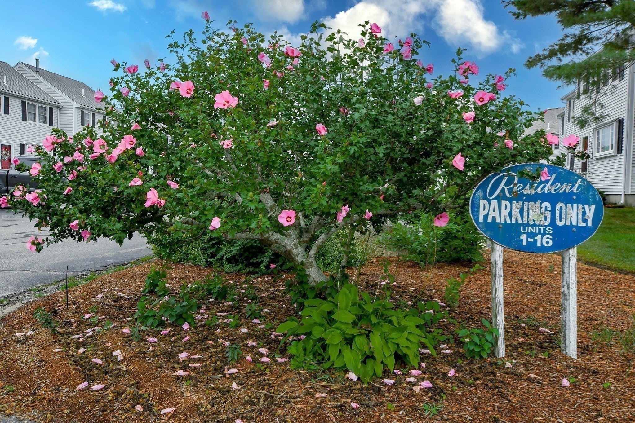 2697 Cranberry Hwy #12, Wareham, MA Photo #32