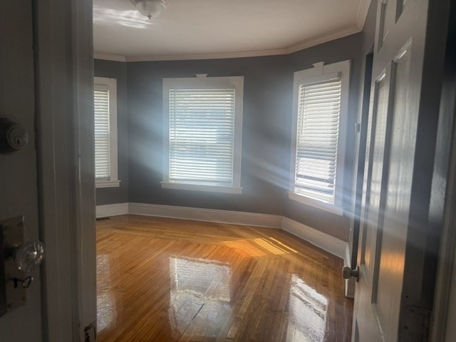 58-60 Virginia St #1, Springfield, MA Photo #5