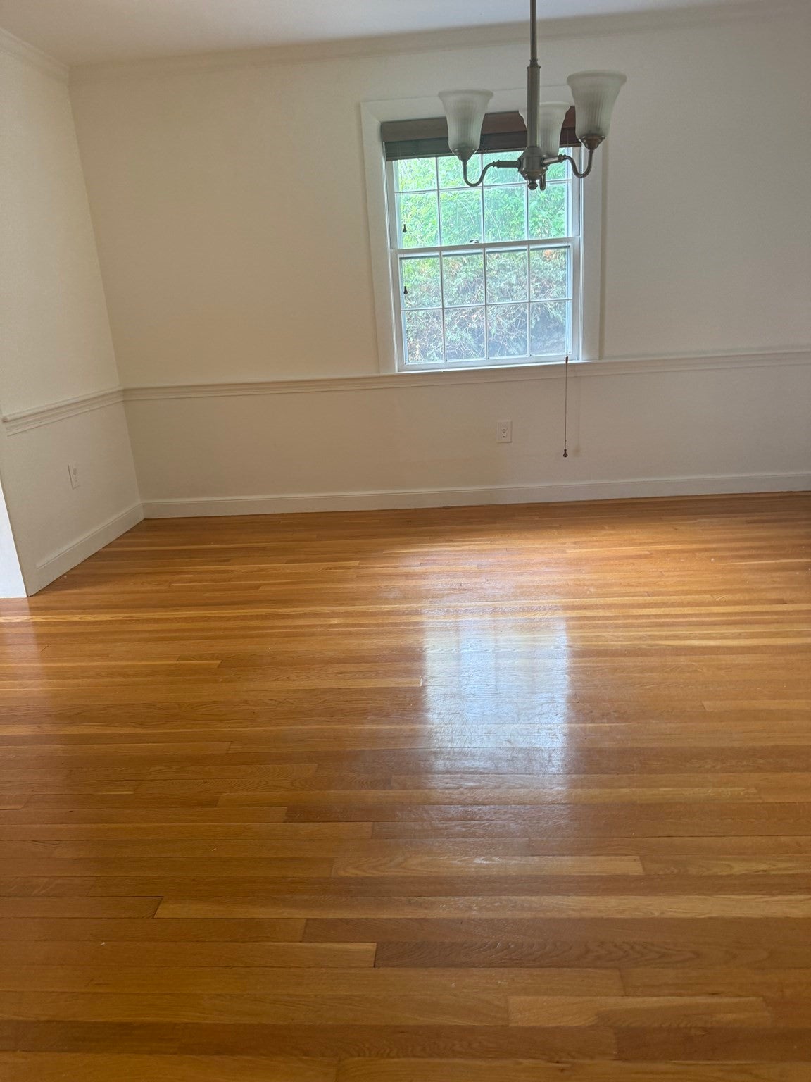 27 Buena Vista Rd, Arlington, MA, 27 Buena Vista Rd, Arlington, MA Photo #7
