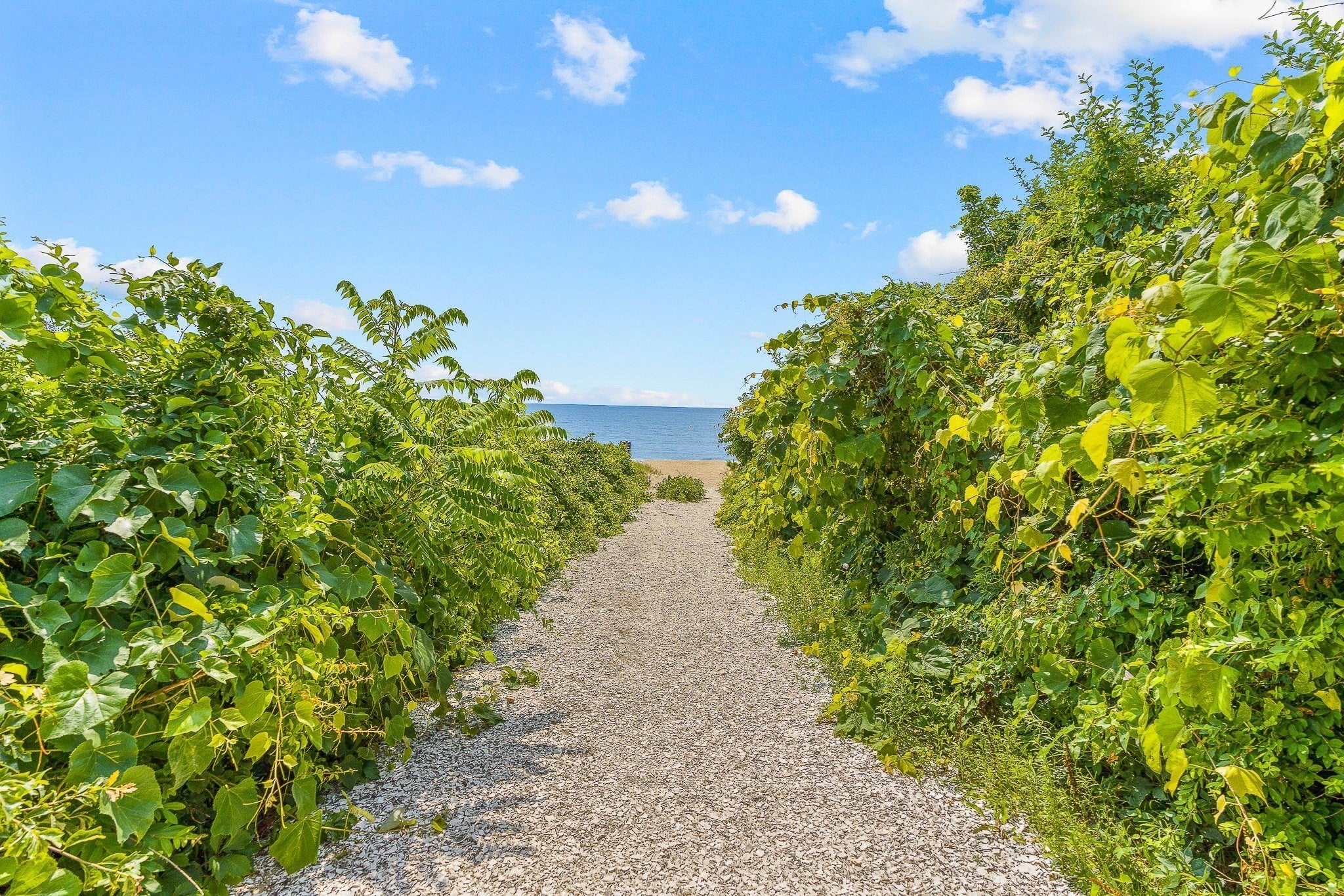 20 Hyannis Point Rd #20, Mashpee, MA, 20 Hyannis Point Rd #20, Mashpee, MA Photo #28