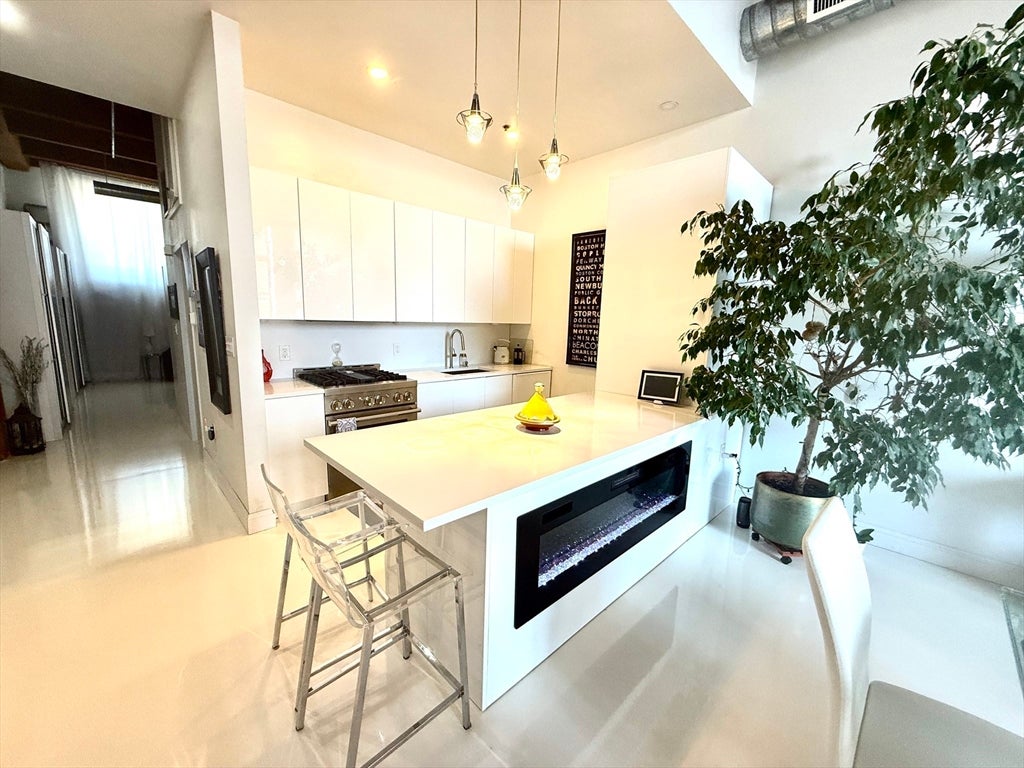 60 Dudley St #117, Chelsea, MA, 60 Dudley St #117, Chelsea, MA Photo #6