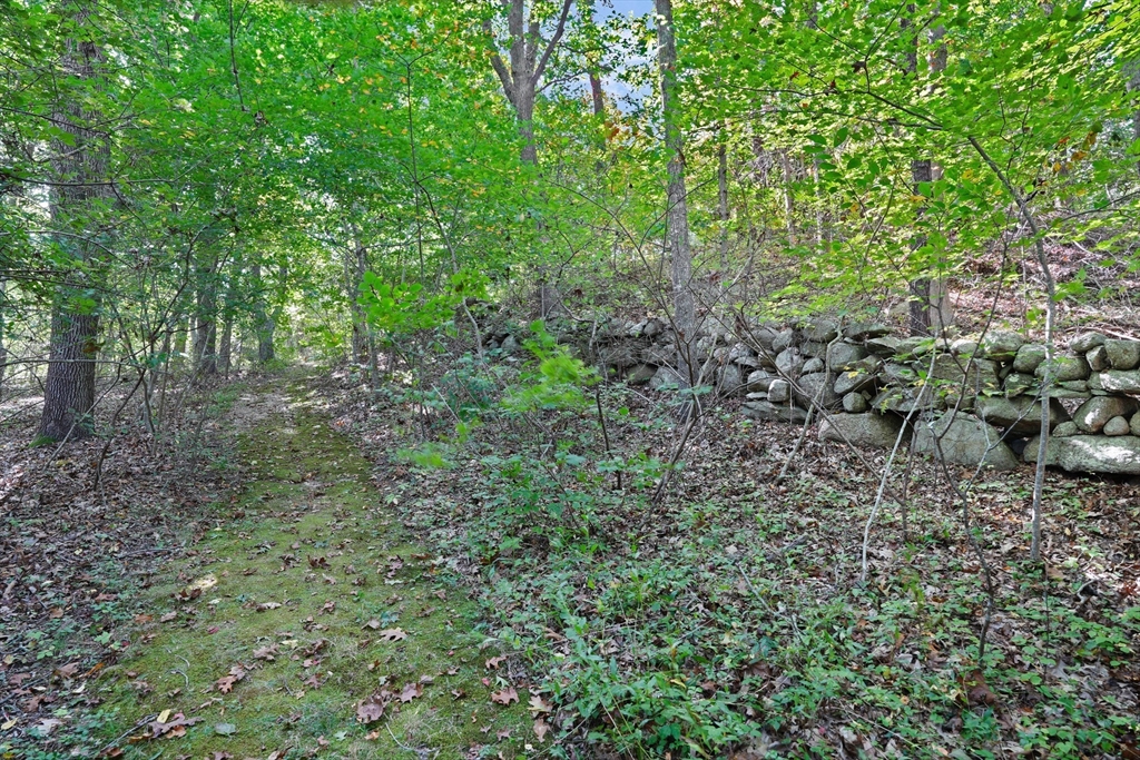 21 & 25 Fulling Mill Road, Chilmark, MA Photo #28