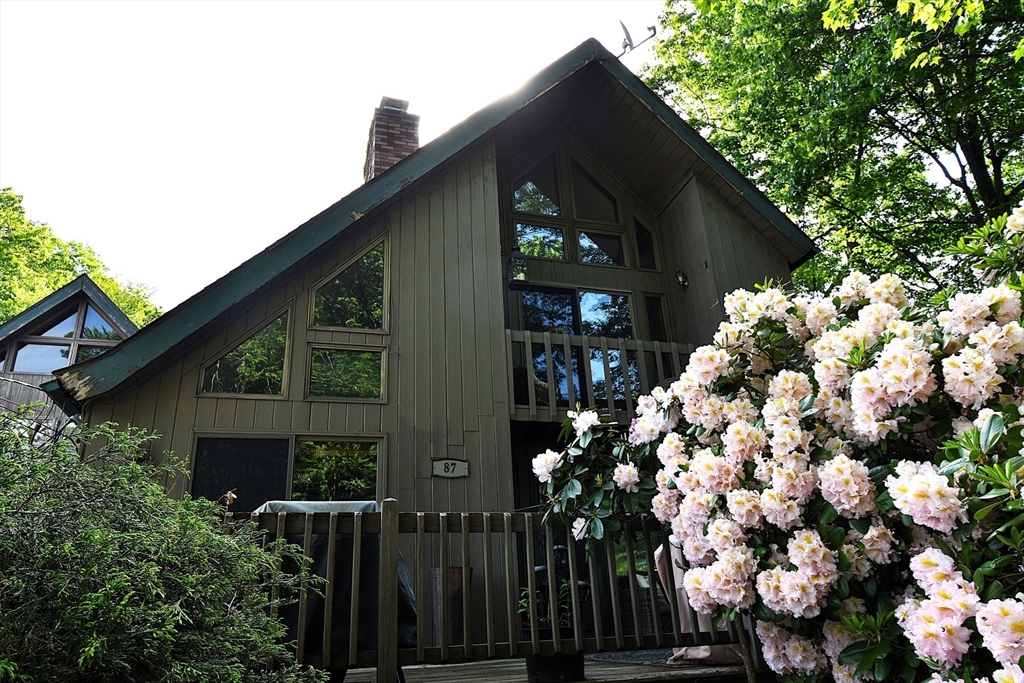 87 Norwood Ave