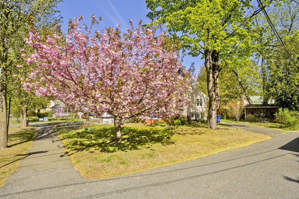 99 Massasoit Street