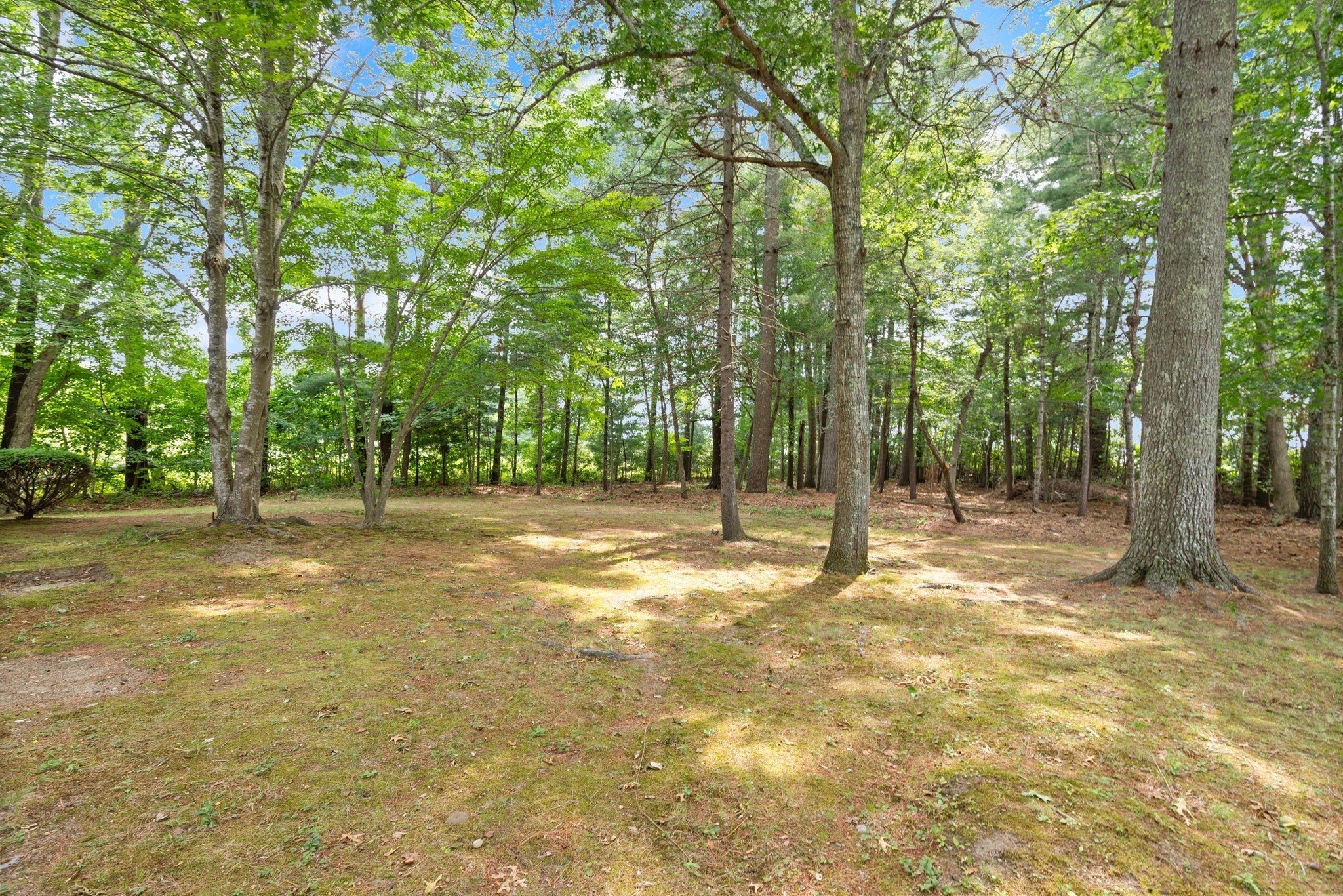 18 Great Meadow Dr, Carver, MA, 18 Great Meadow Dr, Carver, MA Photo #19