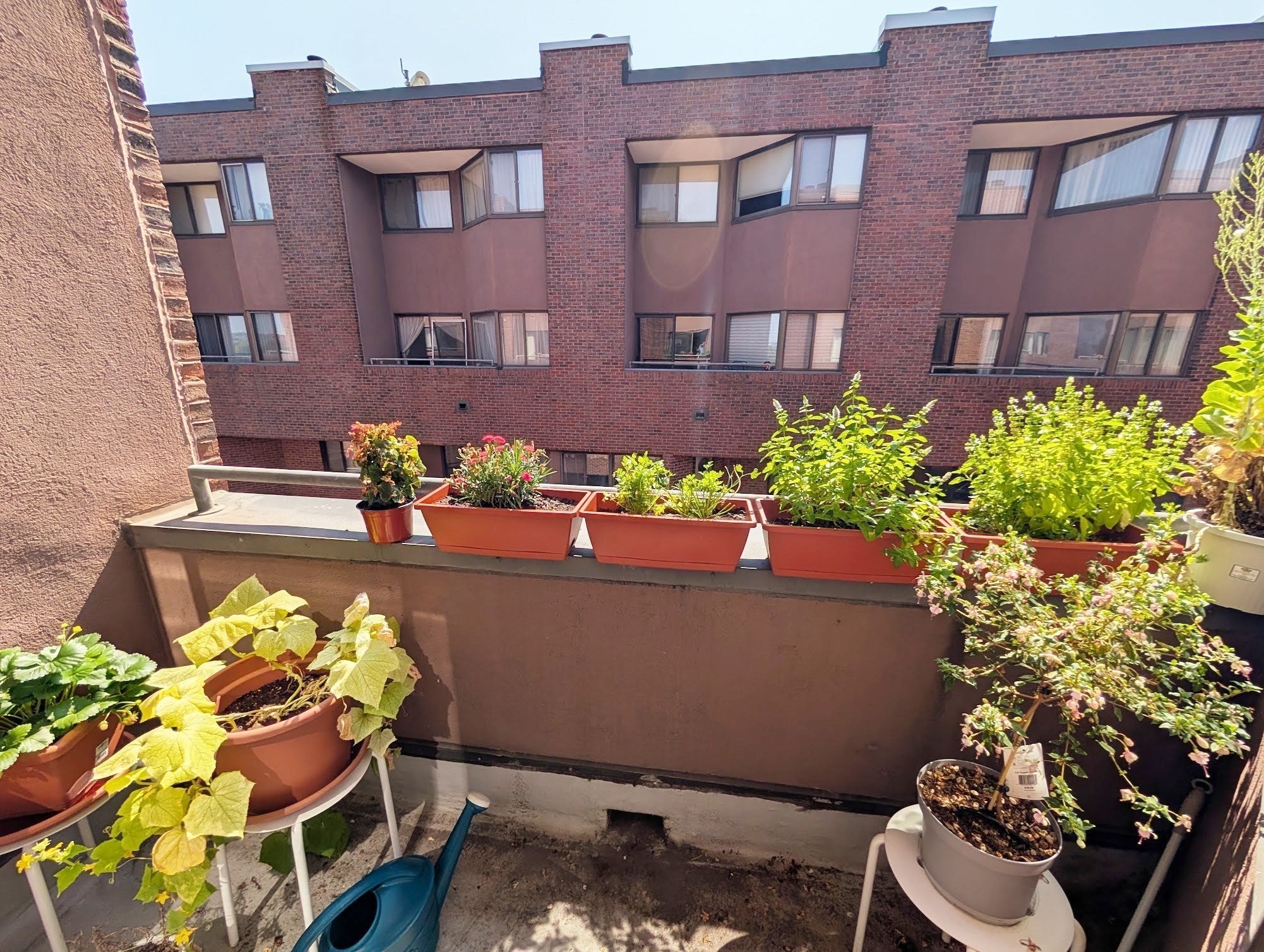 147 Kelton St #706, Boston, MA Photo #3