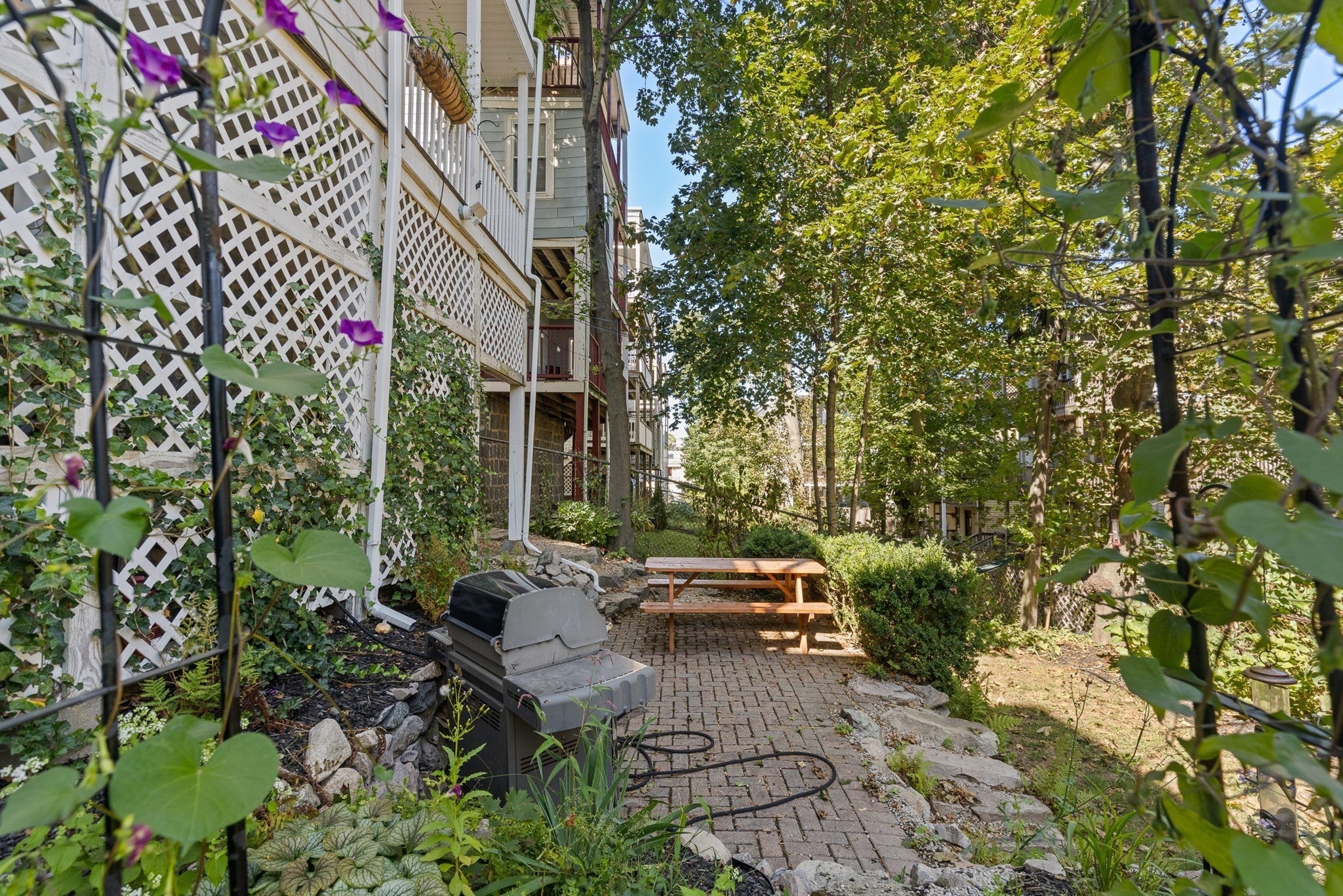 54 Percival Street #2, Boston, MA, 54 Percival Street #2, Boston, MA Photo #20