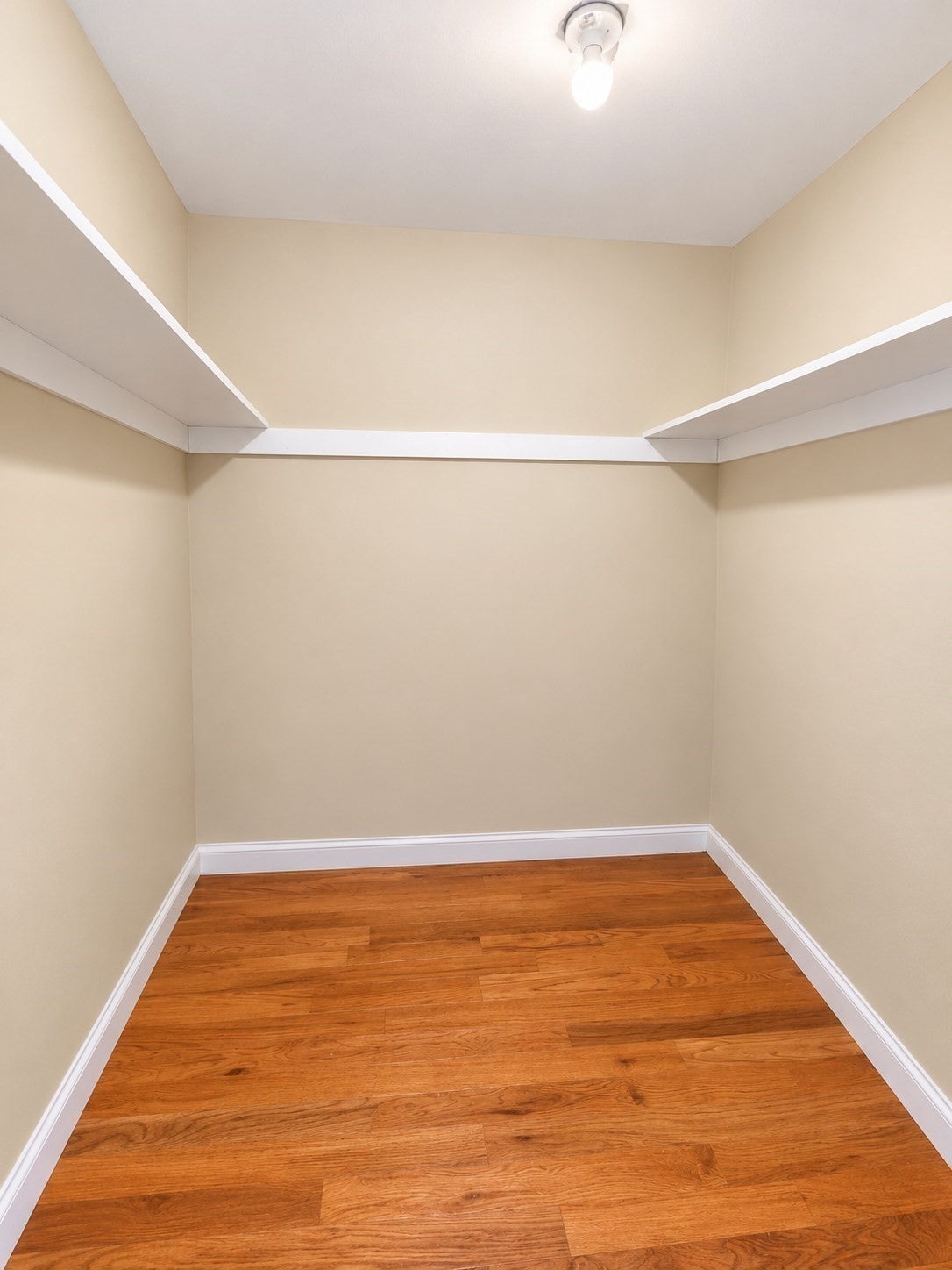 24 Pattison ST #3, Worcester, MA, 24 Pattison ST #3, Worcester, MA Photo #5