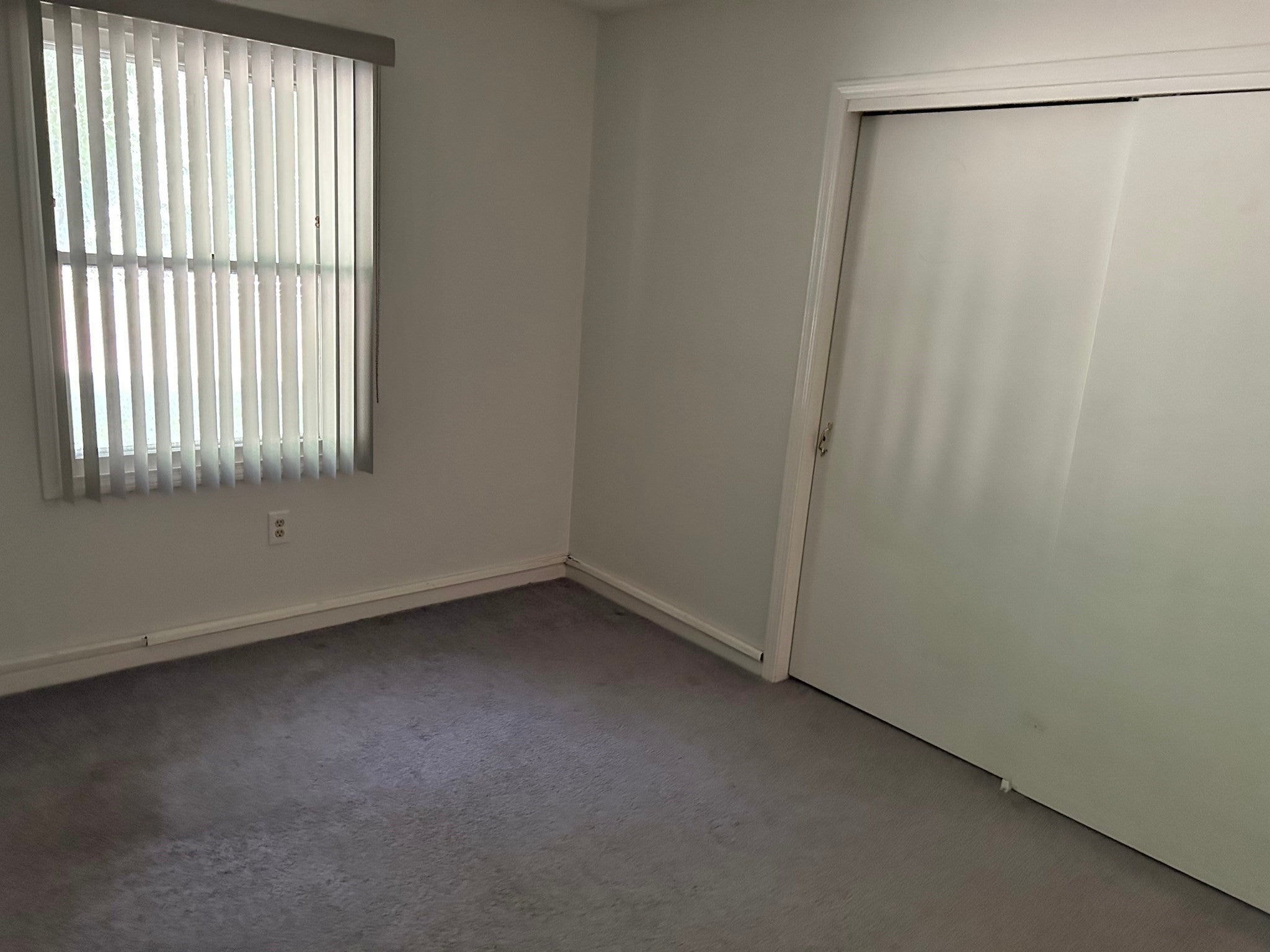 40 Halifax CT #E, Springfield, MA, 40 Halifax CT #E, Springfield, MA Photo #6