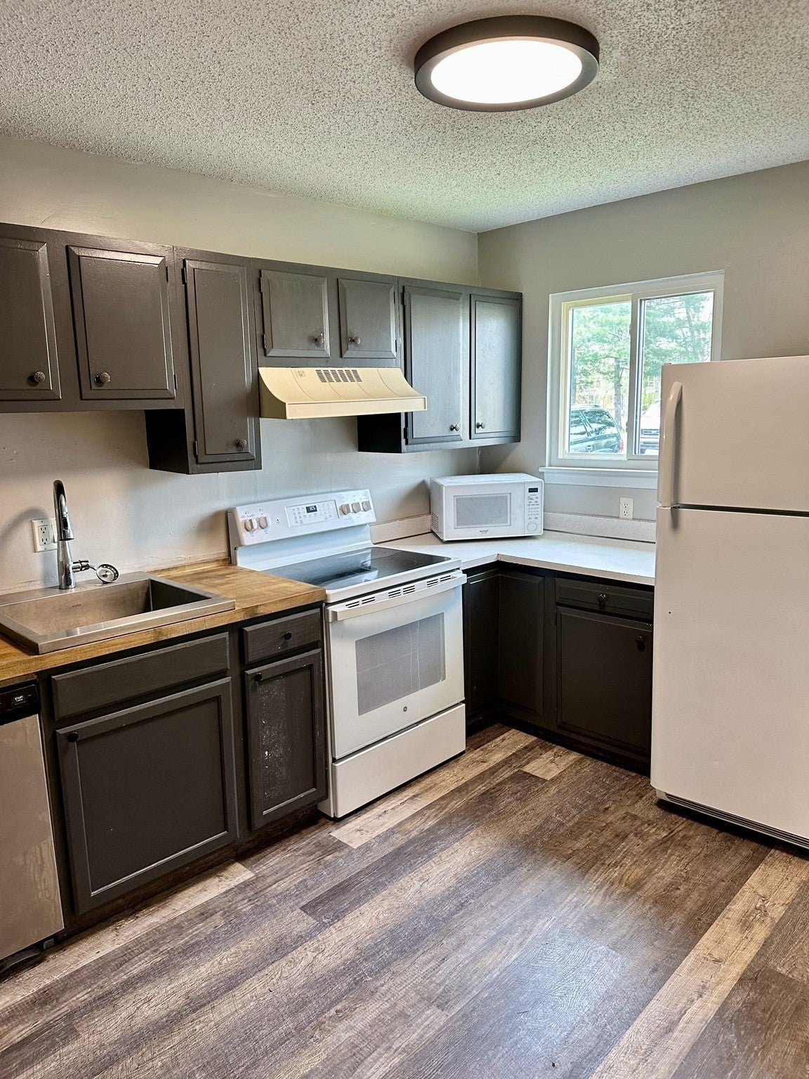 170 E Hadley Rd #29, Amherst, MA, 170 E Hadley Rd #29, Amherst, MA Photo #2
