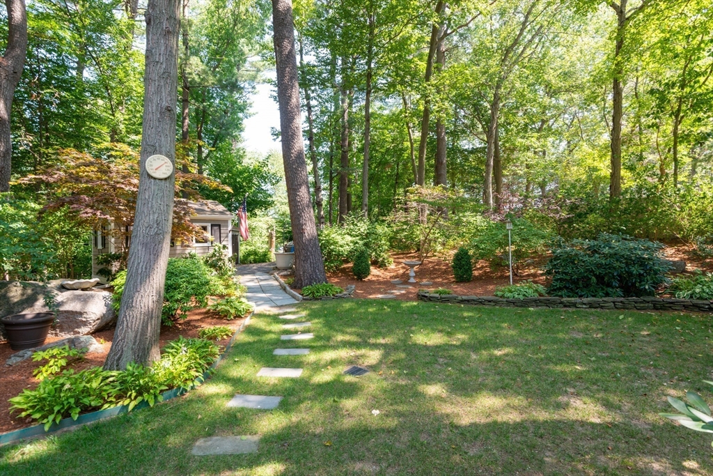 55 Boyles St