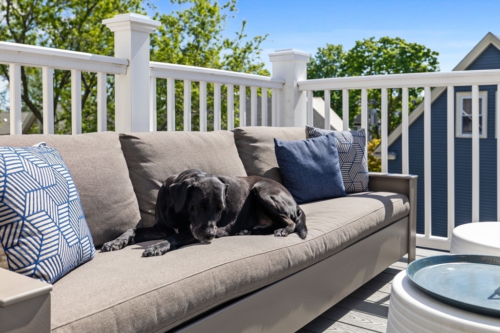 27 Saxton St #3, Boston, MA, 27 Saxton St #3, Boston, MA Photo #9