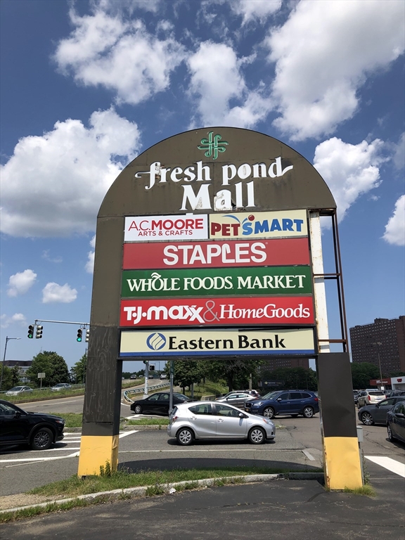 312 Rindge Avenue #1, Cambridge, MA Photo #14