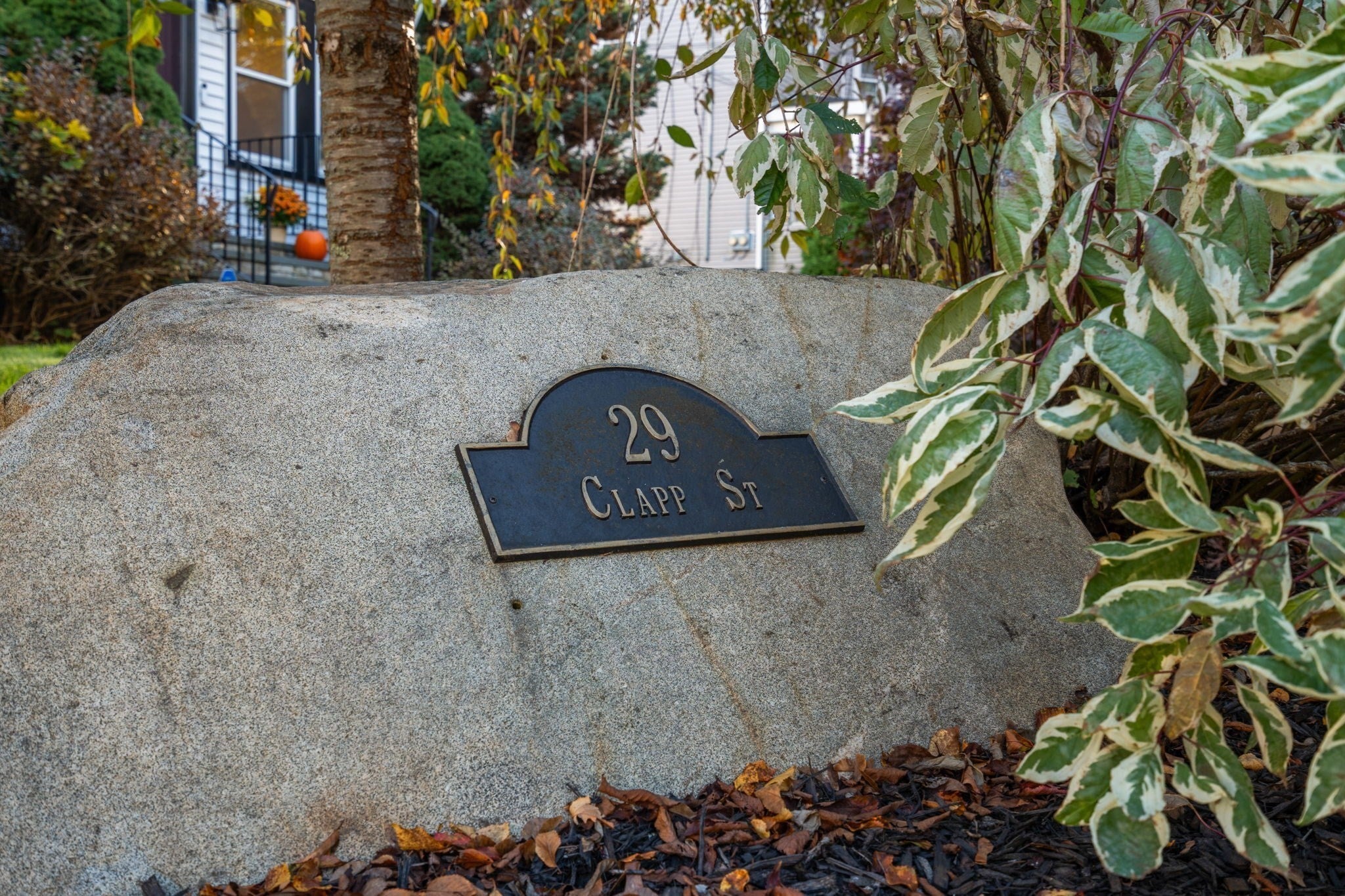 29 Clapp St