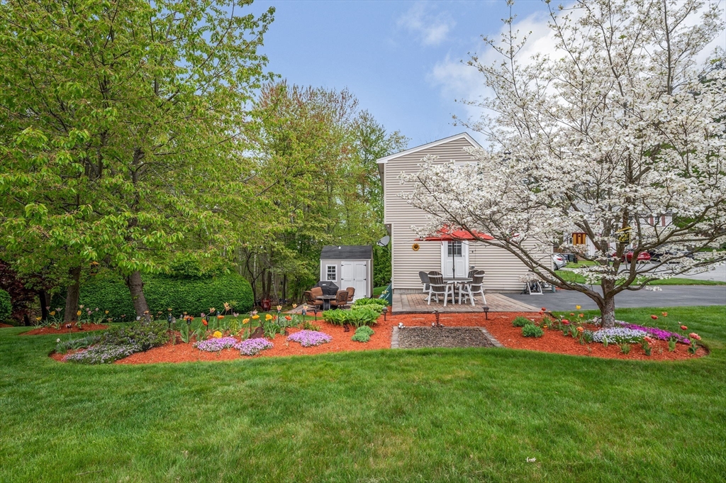 14 Jasmine Ct