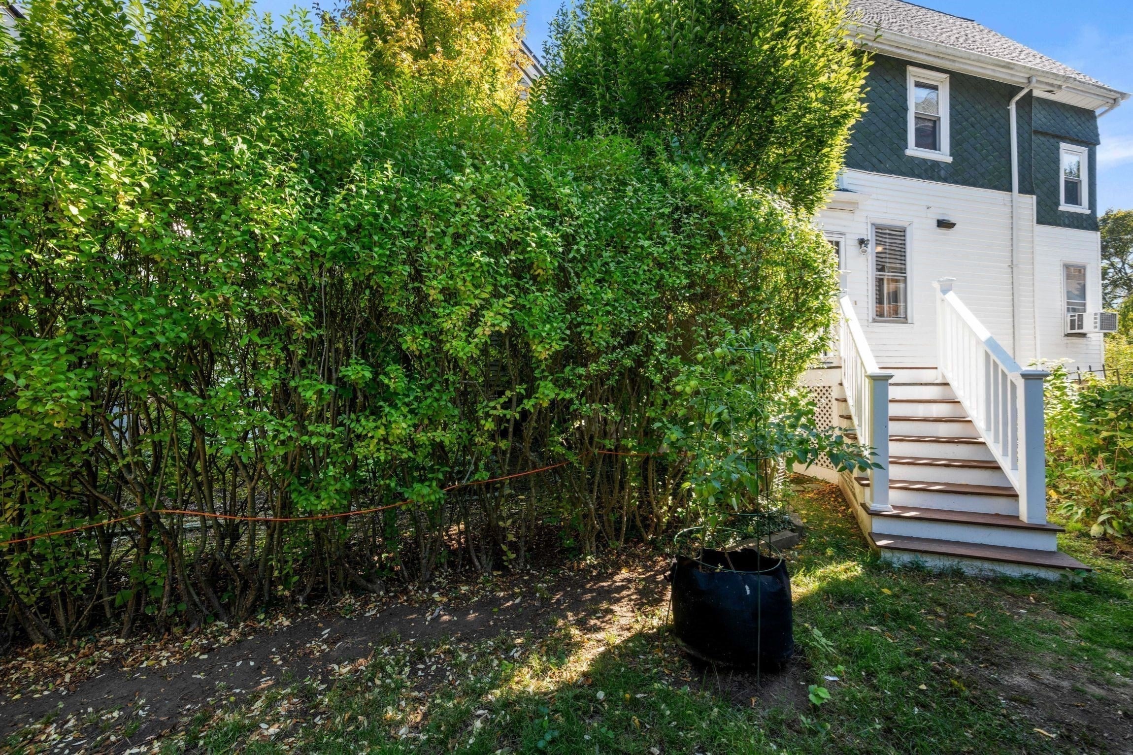 46 Sycamore St, Boston, MA, 46 Sycamore St, Boston, MA Photo #31