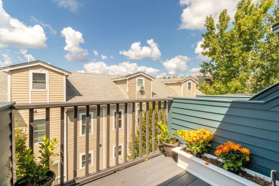 459 Concord Avenue #1, Cambridge, MA Photo #17