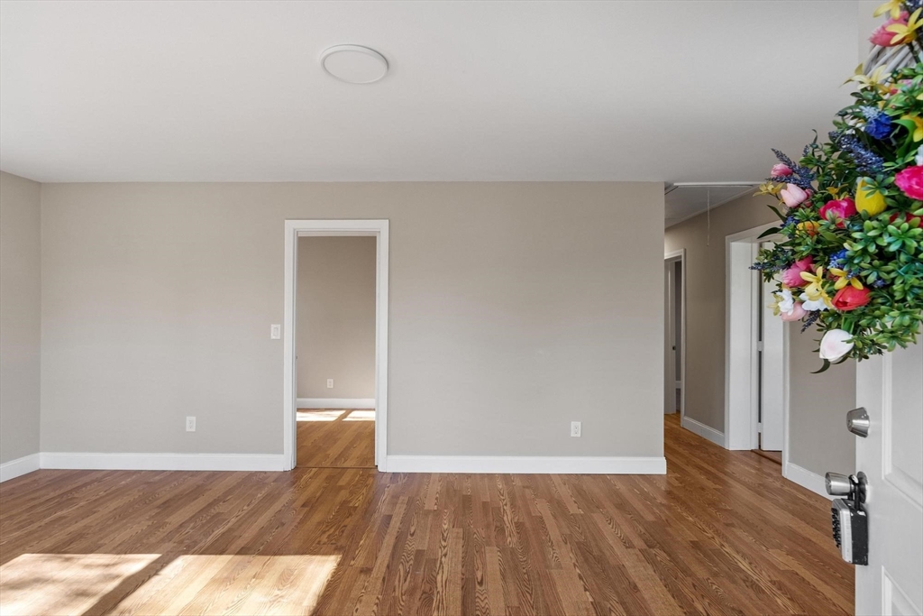 41 Maple St