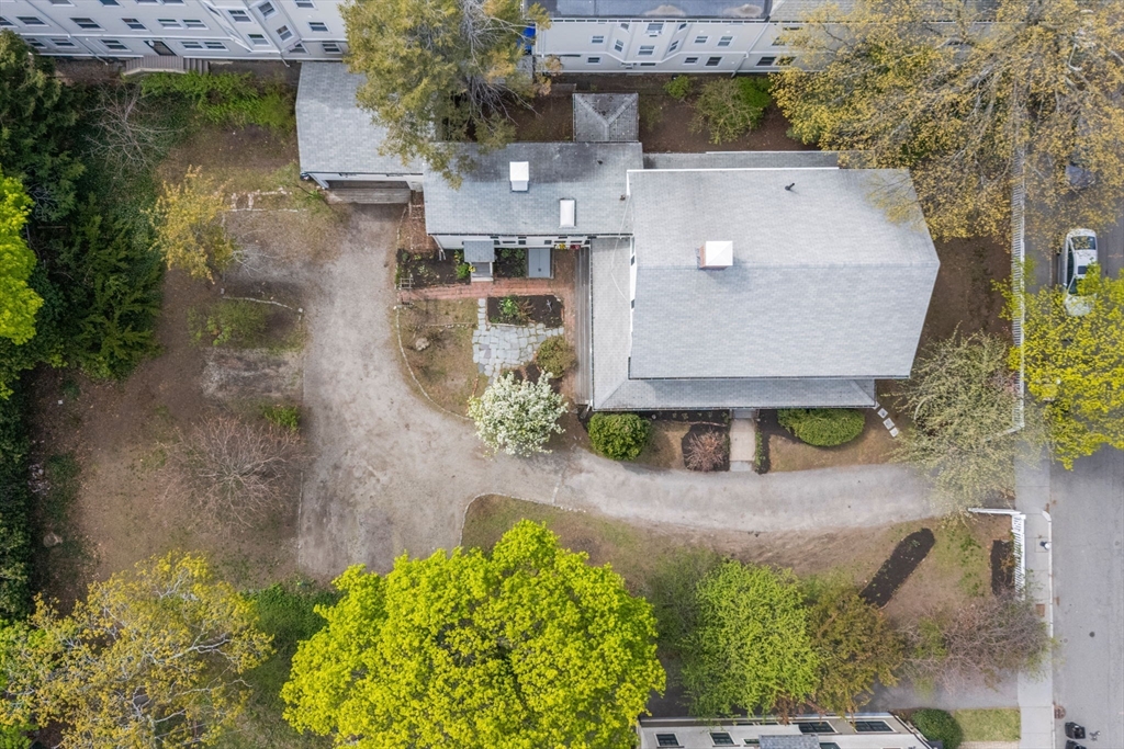 19 Linden Street, Brookline, MA Photo #32